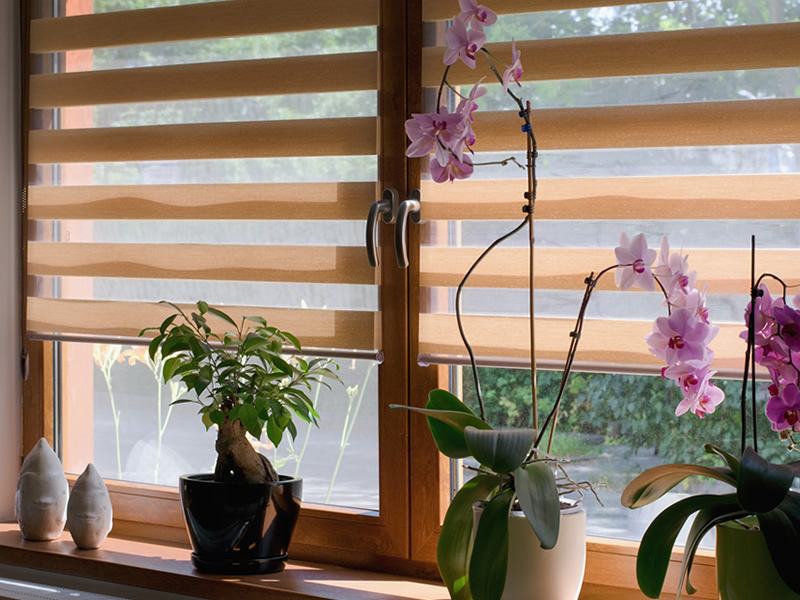 Window Treatments